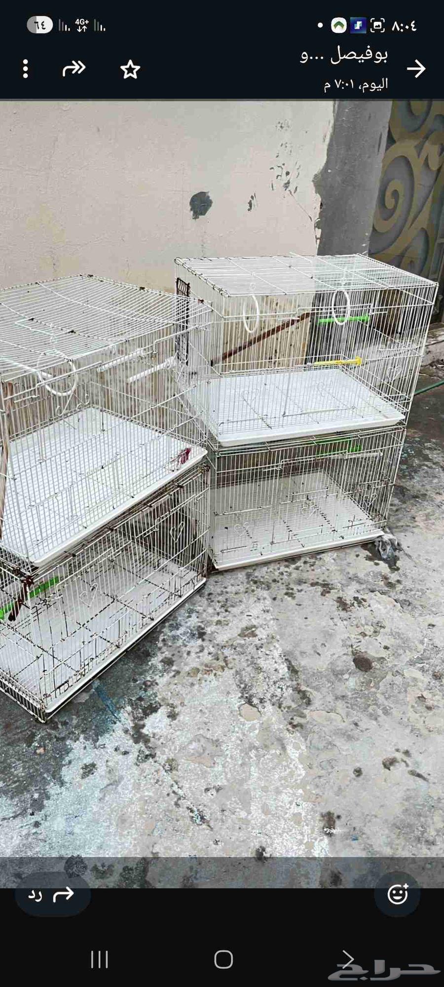 اقفاص 601 للبيع64446693004675111