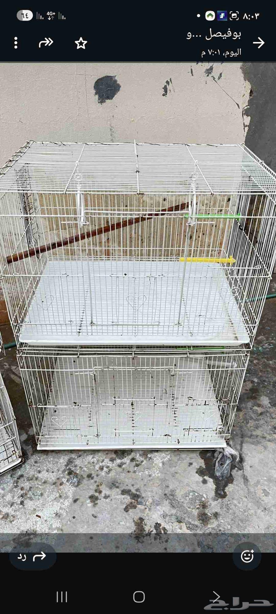 اقفاص 601 للبيع64446693004675110