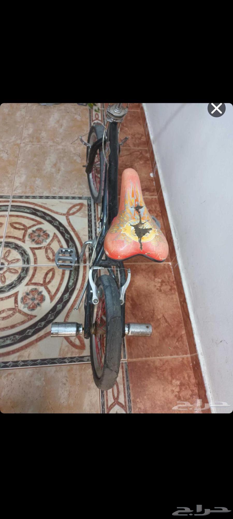 السيكل كوبرا64445228470785110