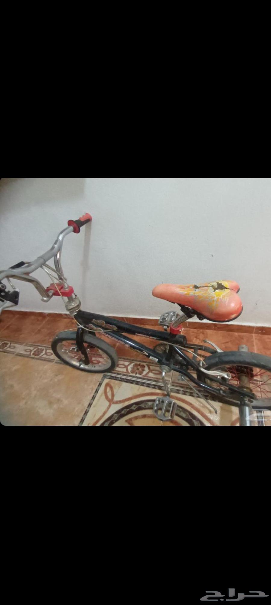 السيكل كوبرا64445228470785111