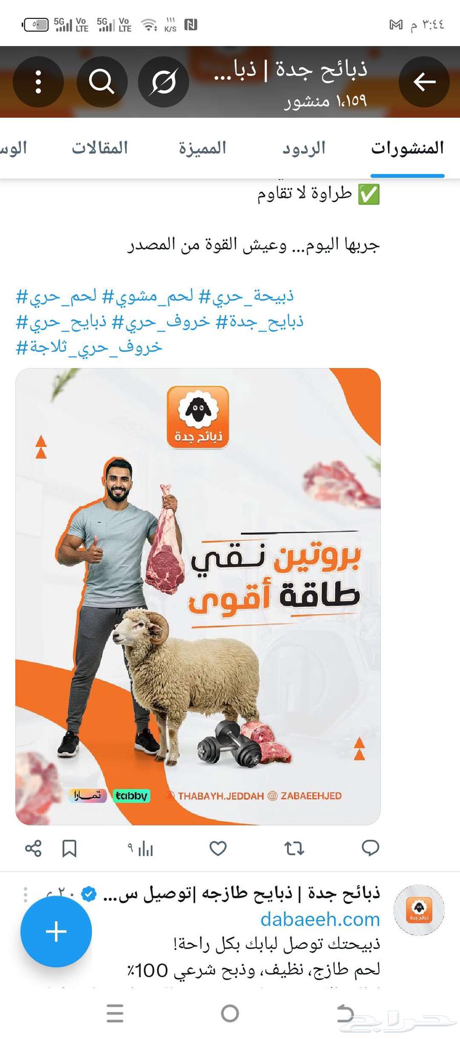 نعيمي كشميري 399 ريال- خروف كشميري - ذبايح مبرده - جده توصيل64444835939843114