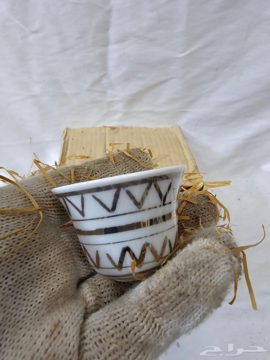 فناجيل يعيش الملك64444971041281110