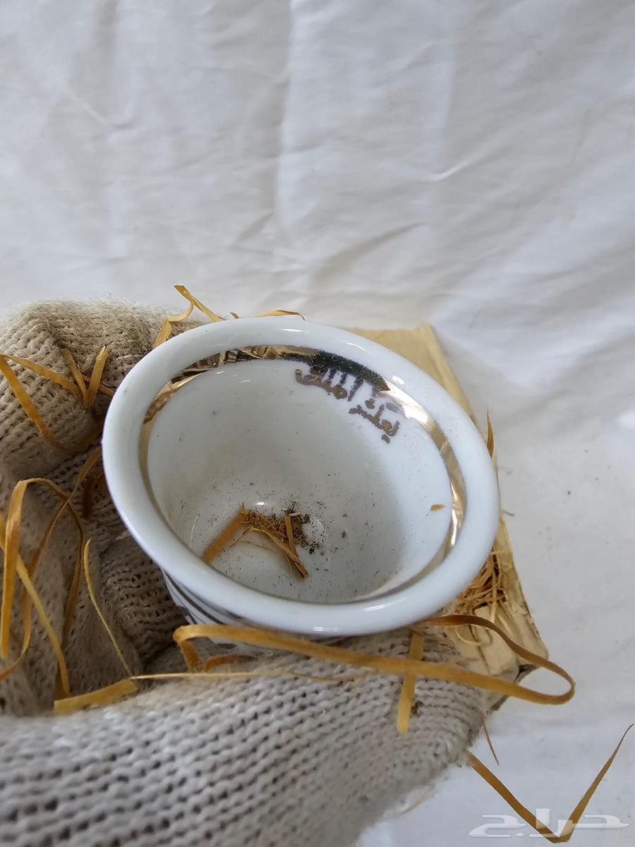 فناجيل يعيش الملك64444971041281112