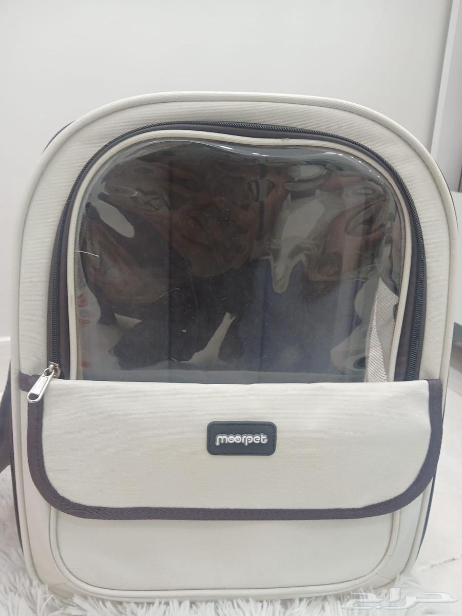 لتر بوكس كهربائي ومستلزمات قطة جديدة64449584380547111