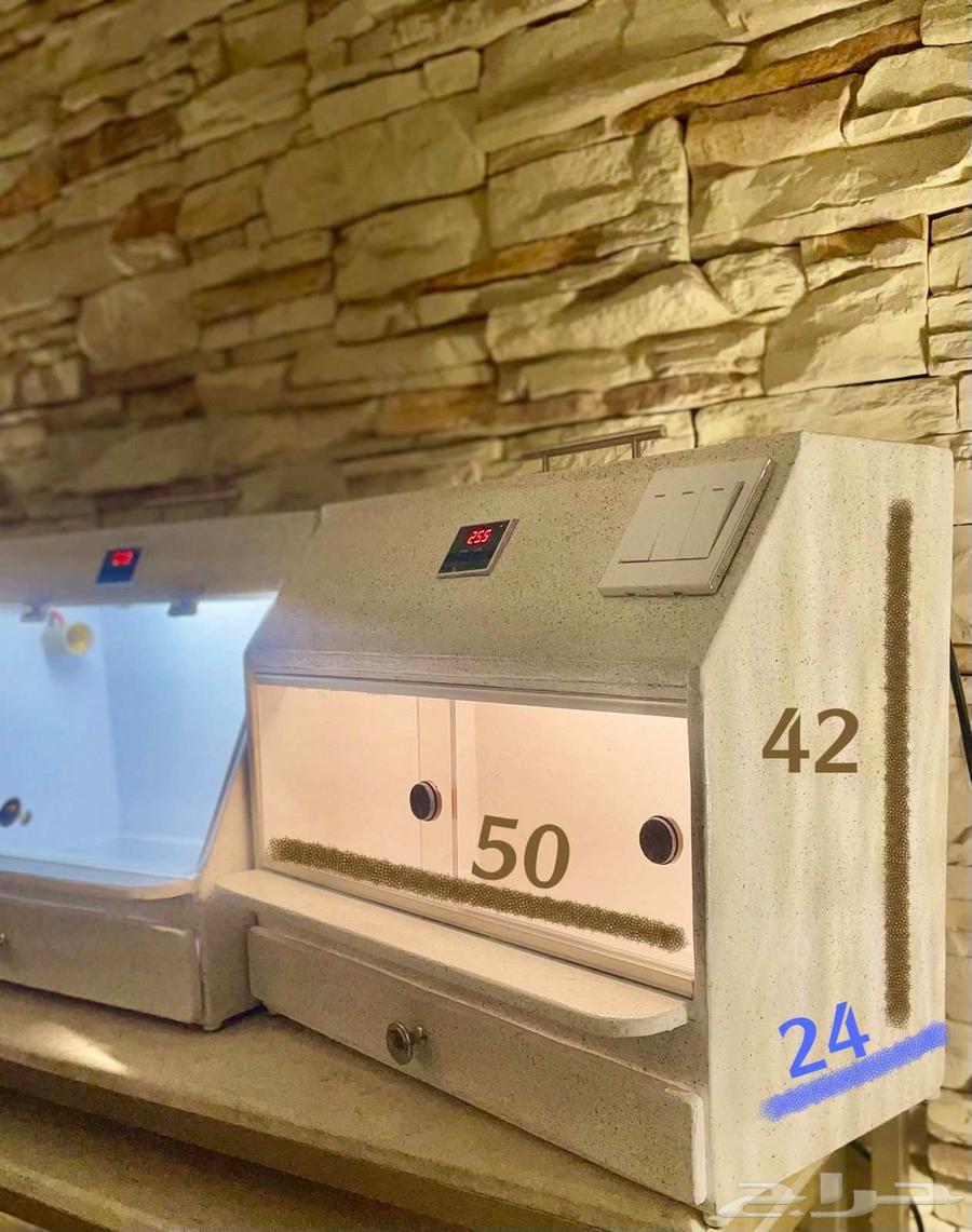 Electronic incubator64443802950914114