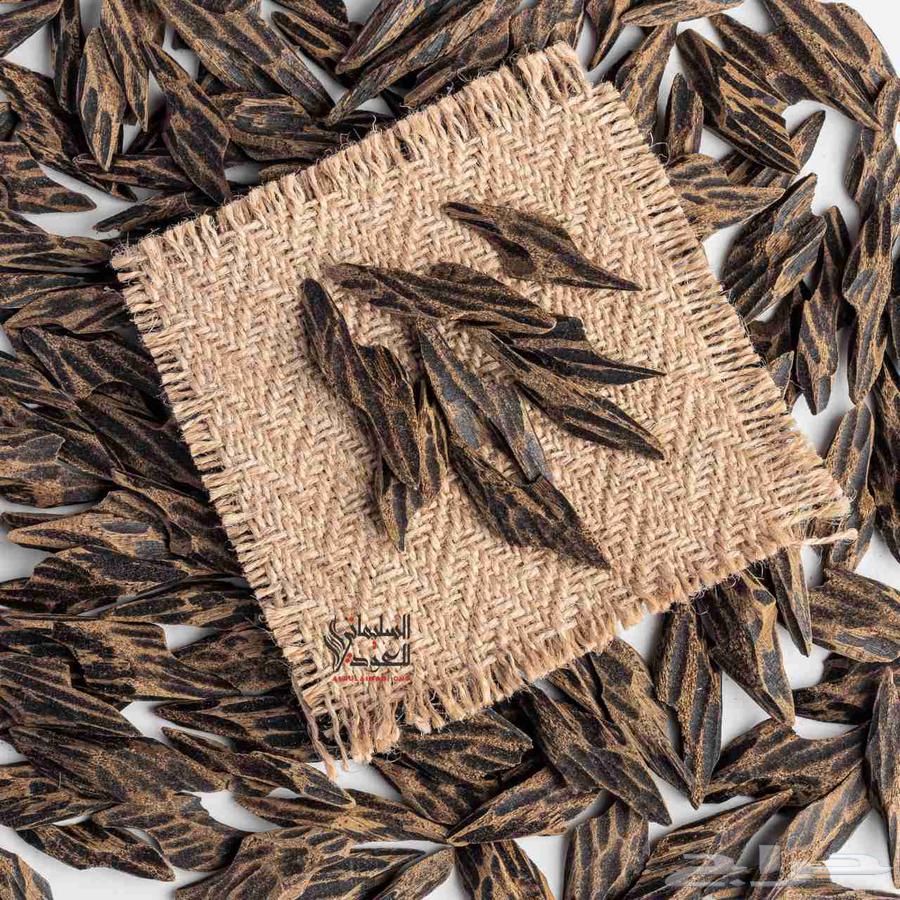 عودة تايجر فتنامي مضمون64448328486786111