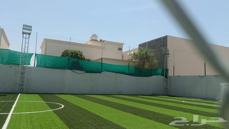 انجيلة صناعية مستعملة للبيع64446496733186110