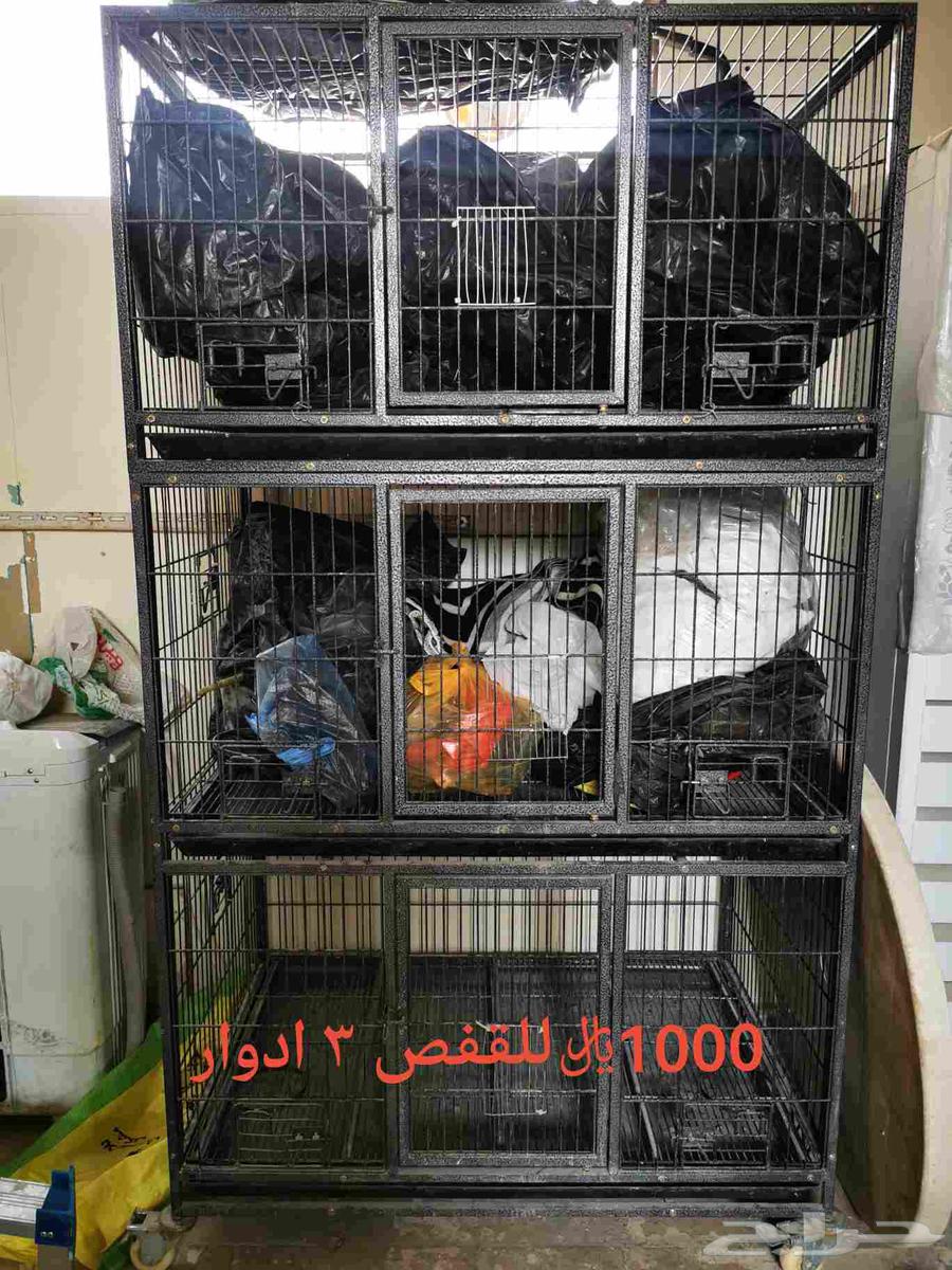 Cages and aviaries64445418317315111