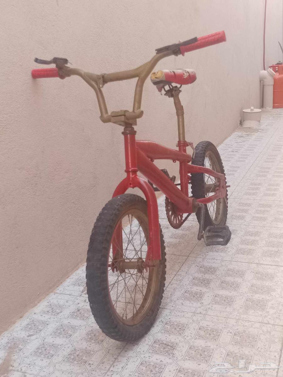 سيكل كوبرا على السوم64449194273282110