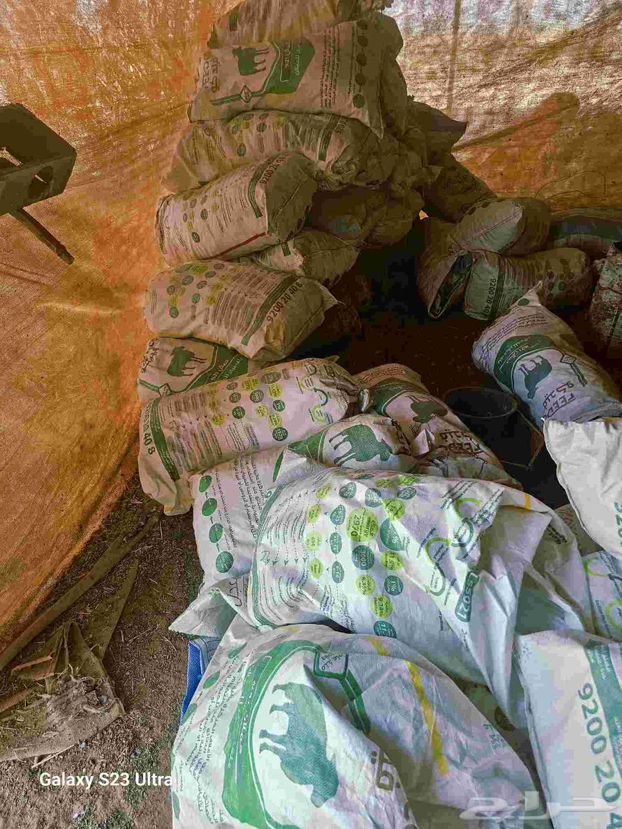 اكياس فارغة جديده للبيع64444338594818111