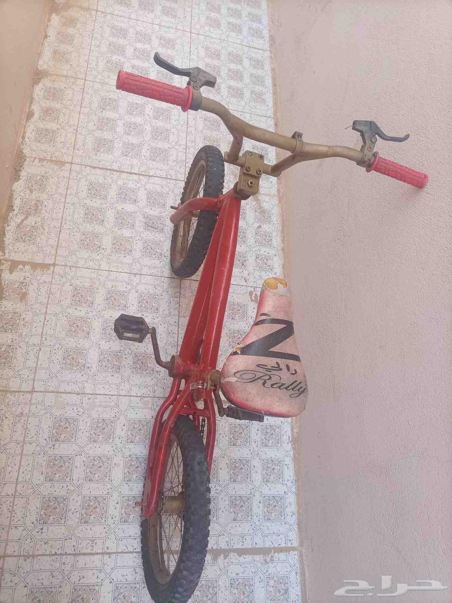 سيكل كوبرا على السوم64449194273282112