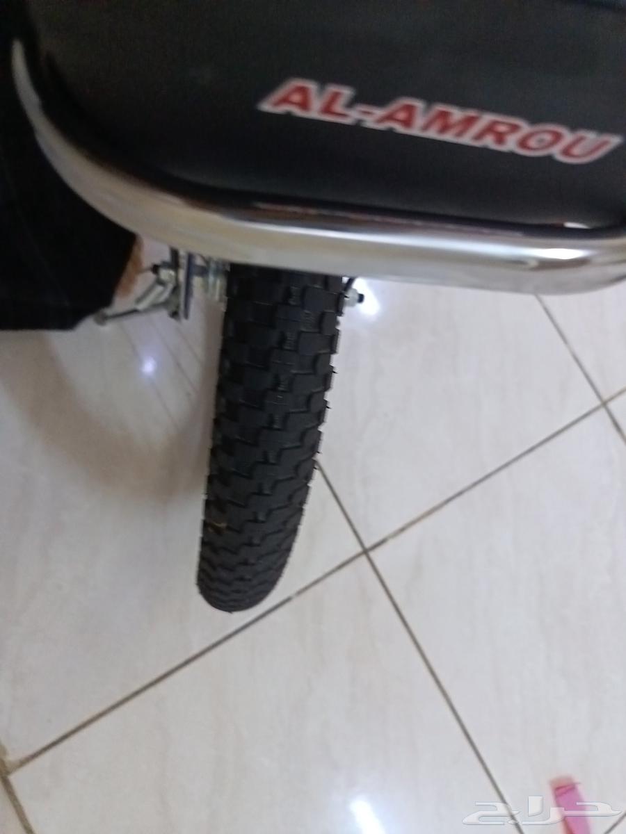 Original Rambo Cycle Grade 2 for Sale, WhatsApp Available64442447781249114