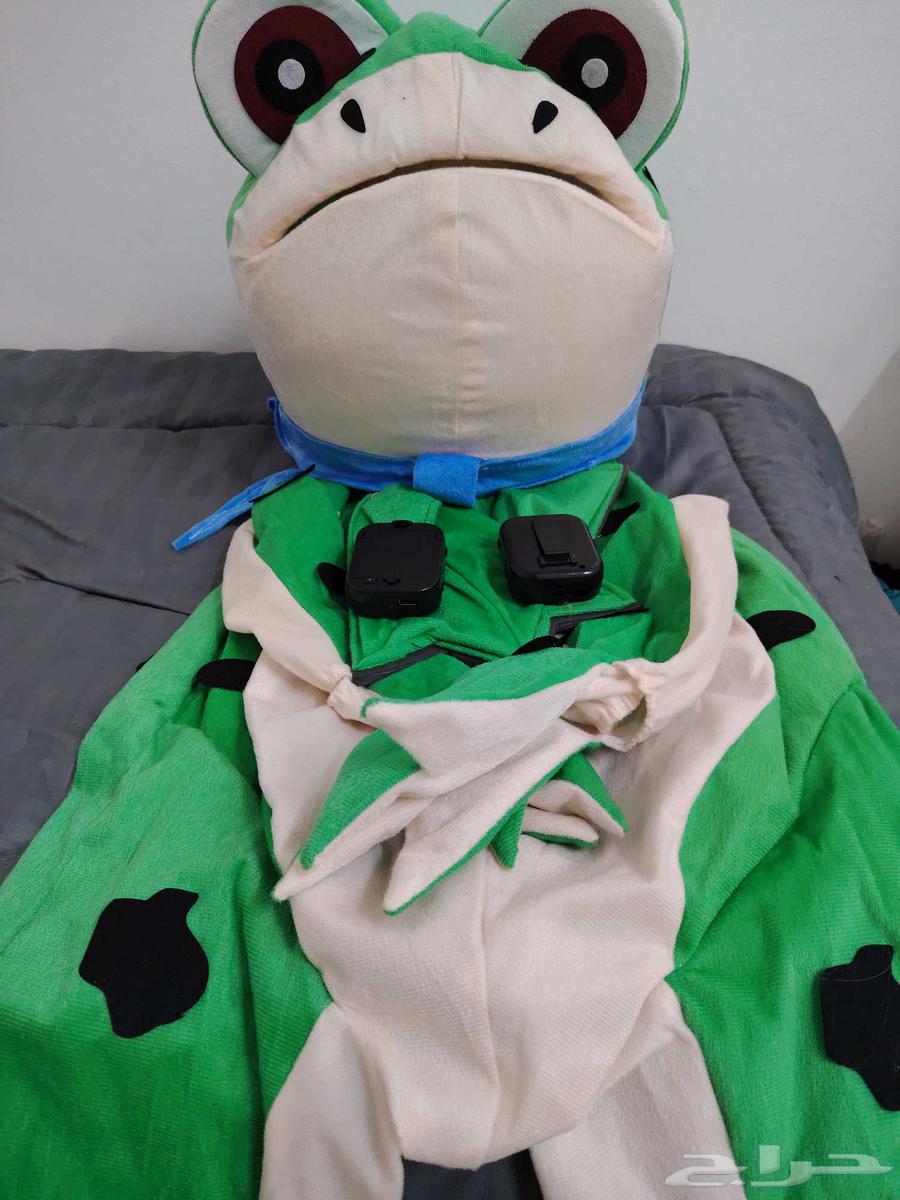 دميه الضفدع مقاس صغير للبيع64446417160323111