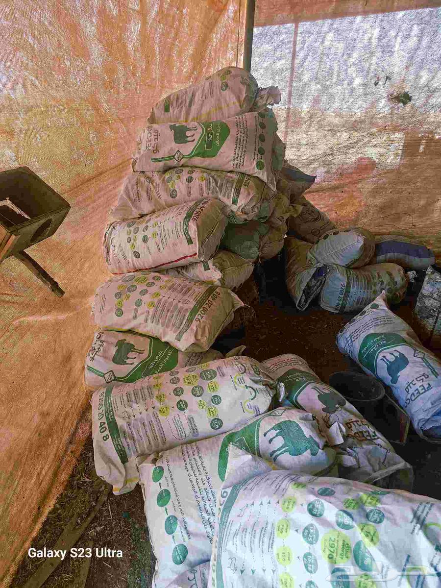 اكياس فارغة جديده للبيع64444338594818110