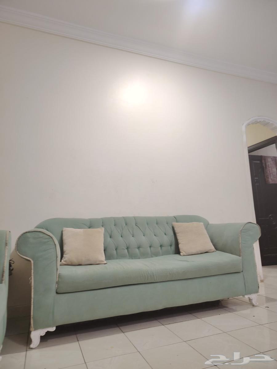 Sofa set64446000388611111