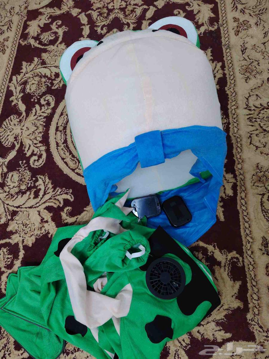 دميه الضفدع مقاس صغير للبيع64446417160323110