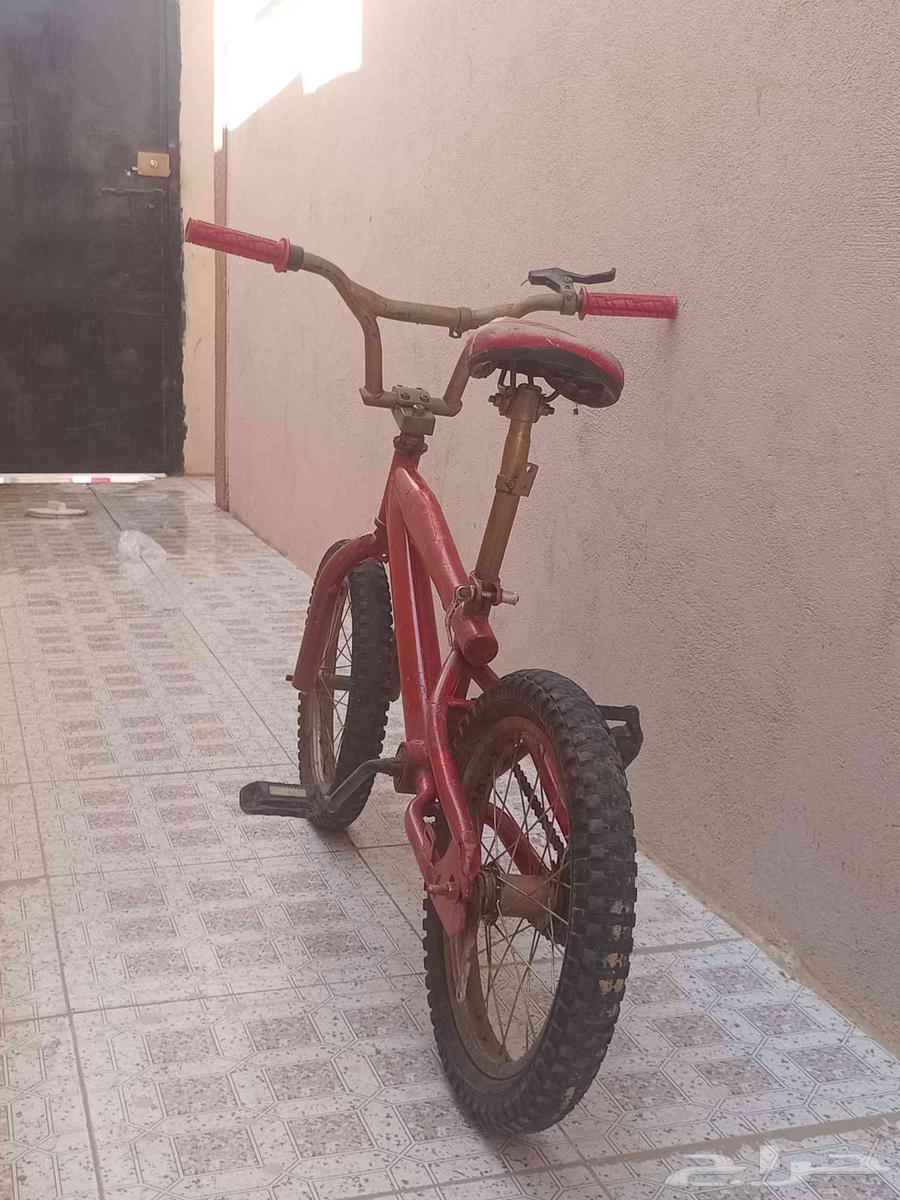 سيكل كوبرا على السوم64449194273282111