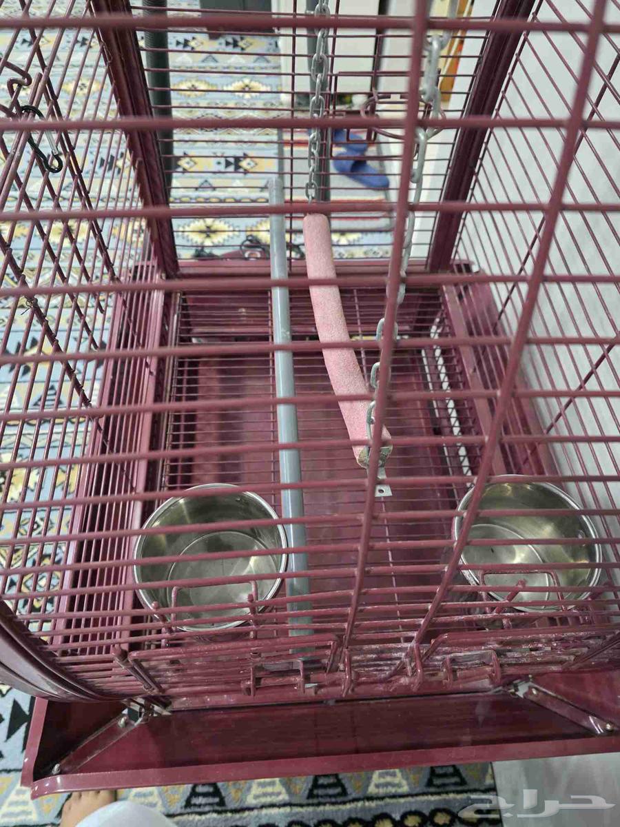 قفص ببغاء للبيع الحد 400 قابل للتفاوض64449489553539111