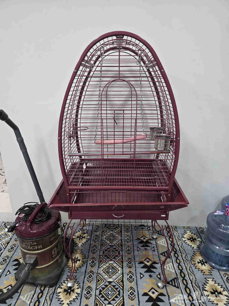 قفص ببغاء للبيع الحد 400 قابل للتفاوض64449489553539112