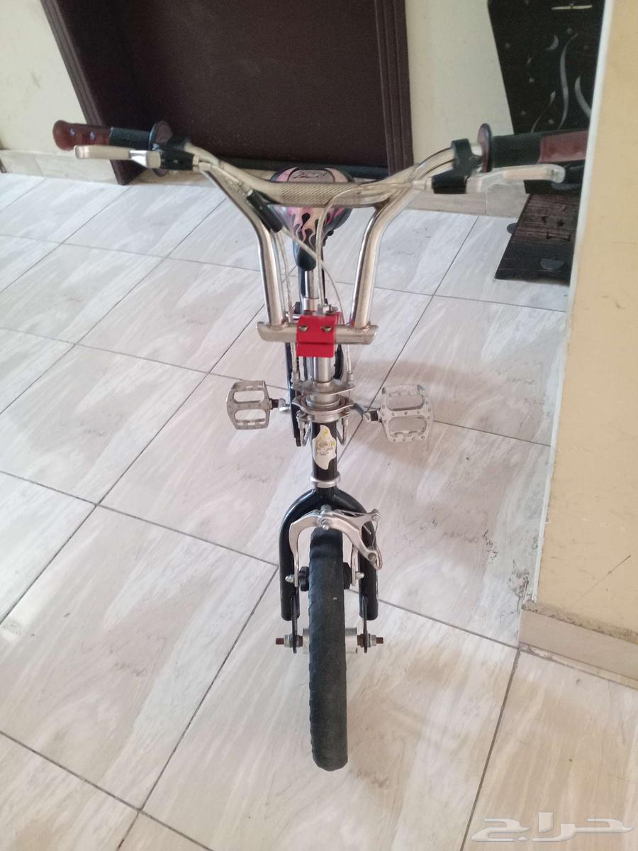 Cyclone Cobra64445255833474112