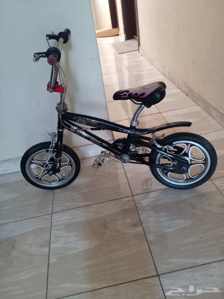 Cyclone Cobra64445255833474110