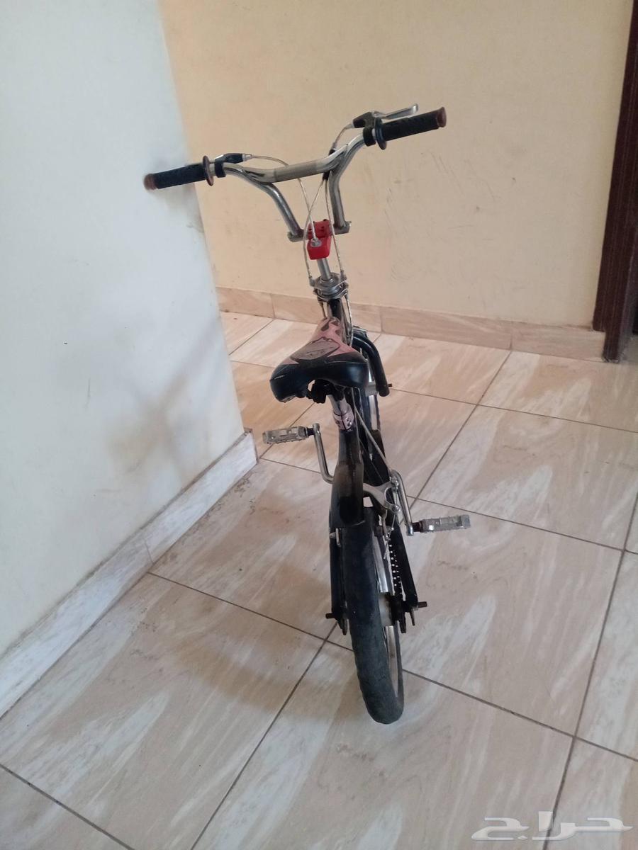 Cyclone Cobra64445255833474113