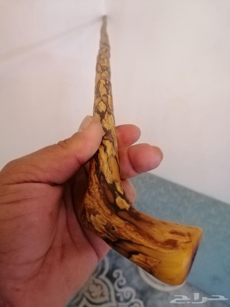 عصا عوشز ( تم البيع )64448354637441113