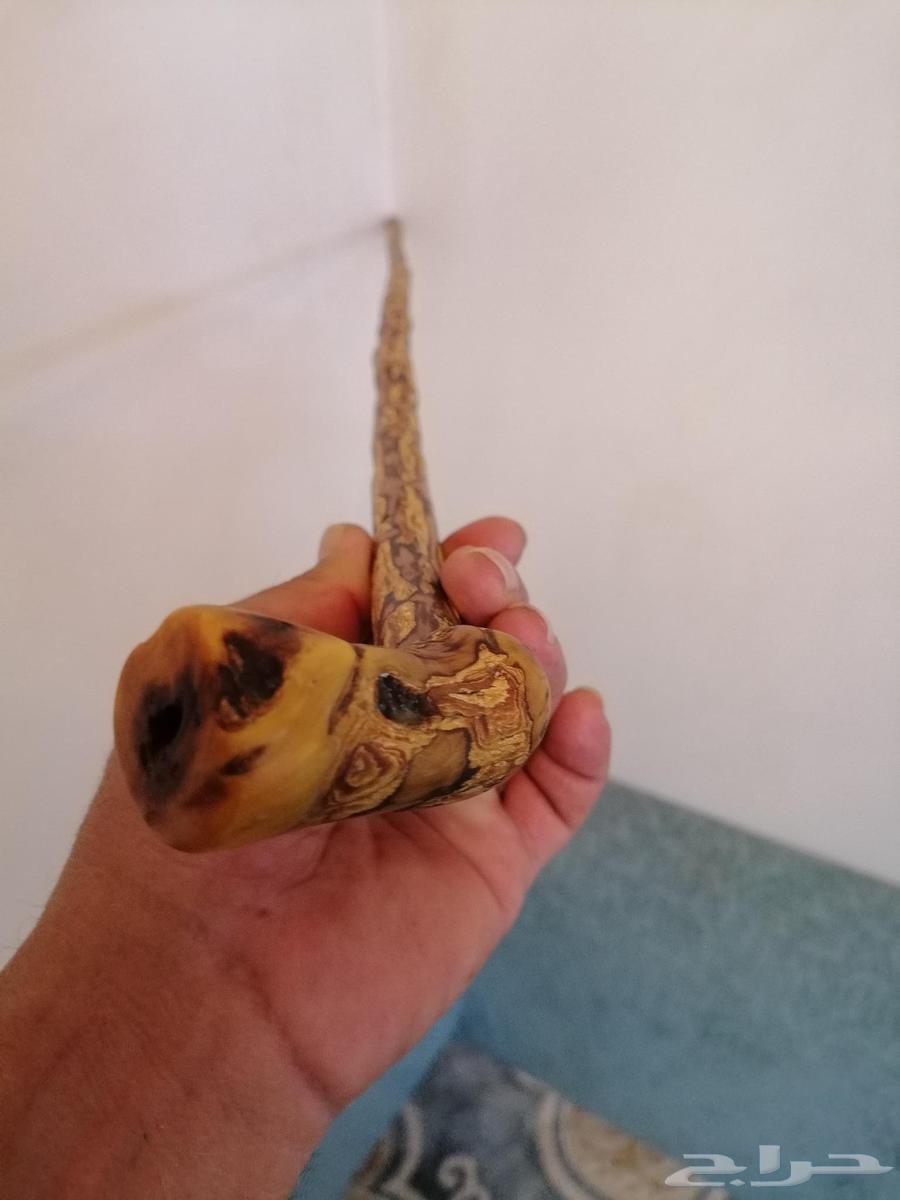 عصا عوشز ( تم البيع )64448354637441112