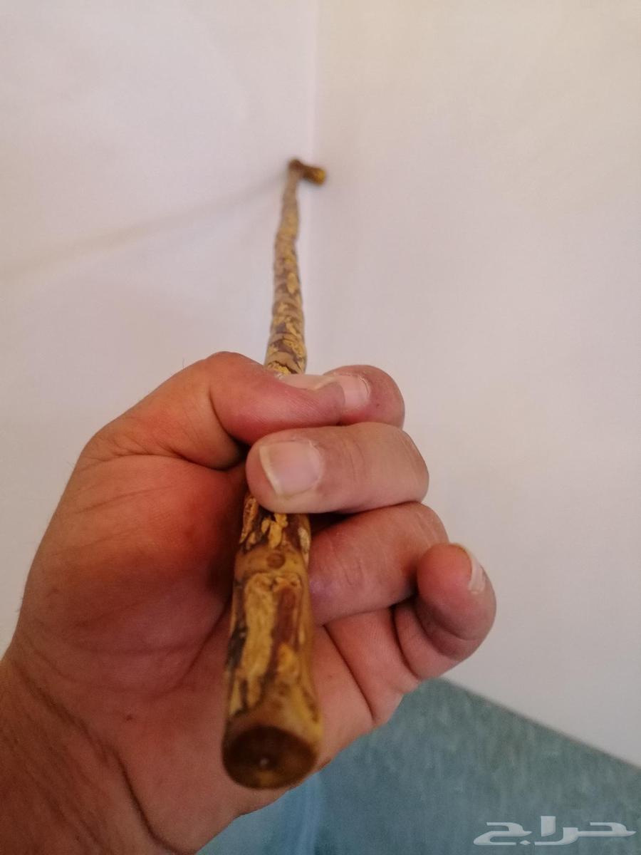 عصا عوشز ( تم البيع )64448354637441110