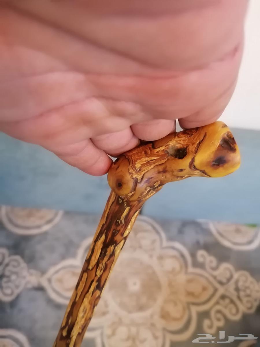 عصا عوشز ( تم البيع )64448354637441114