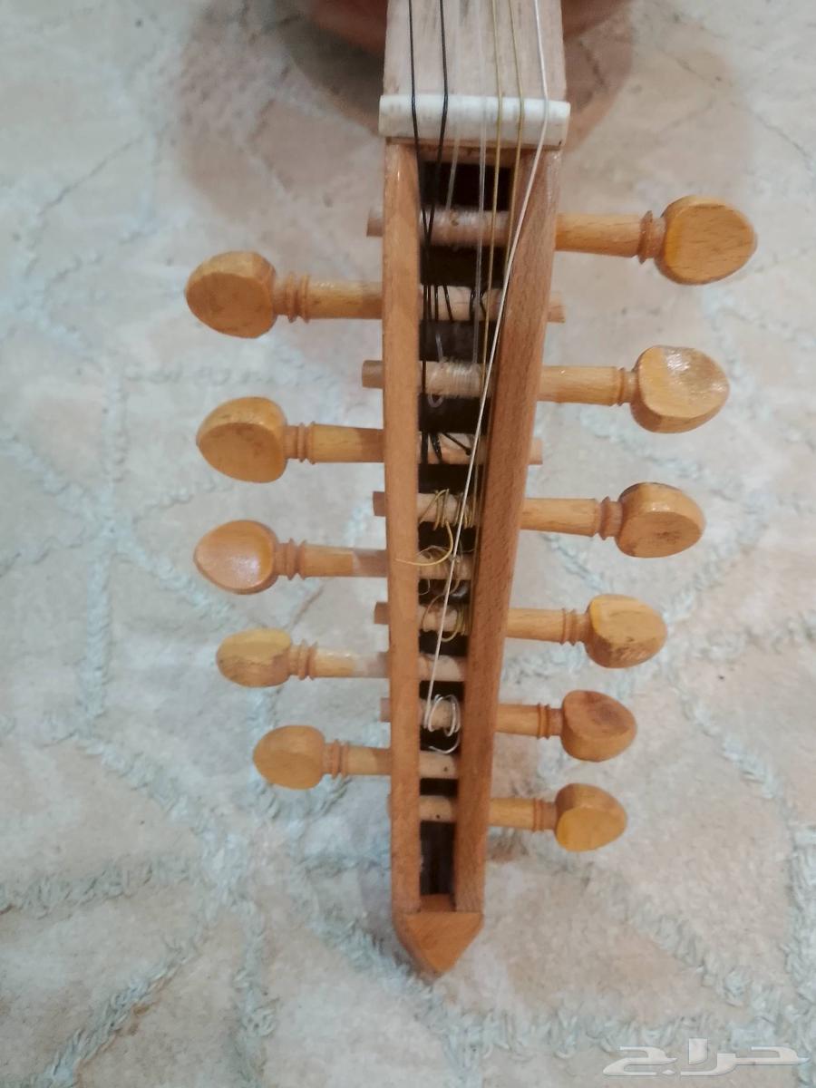 عود مصري للبيع64446297494787110