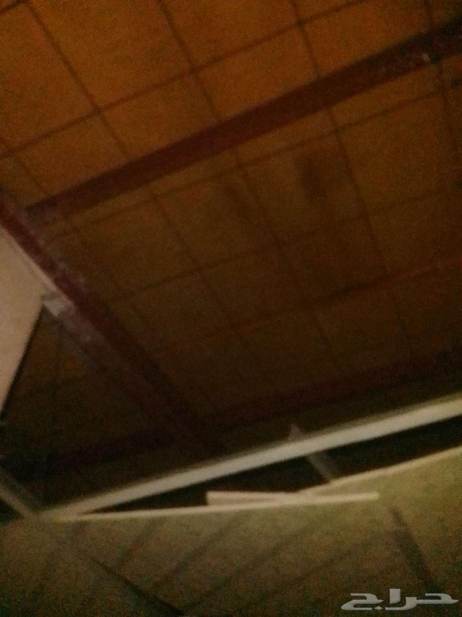 شنكو للبيع 1 فكاك كامل64443870114177110