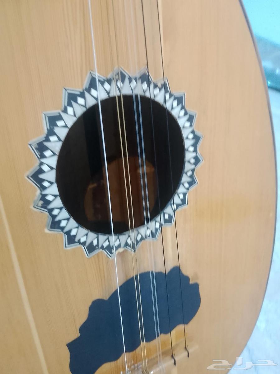 عود مصري للبيع64446297494787114