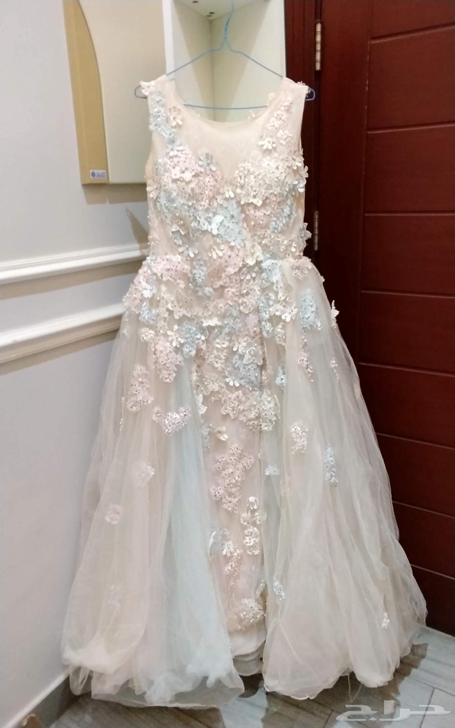 Luxurious fabric and texture64444553304195113