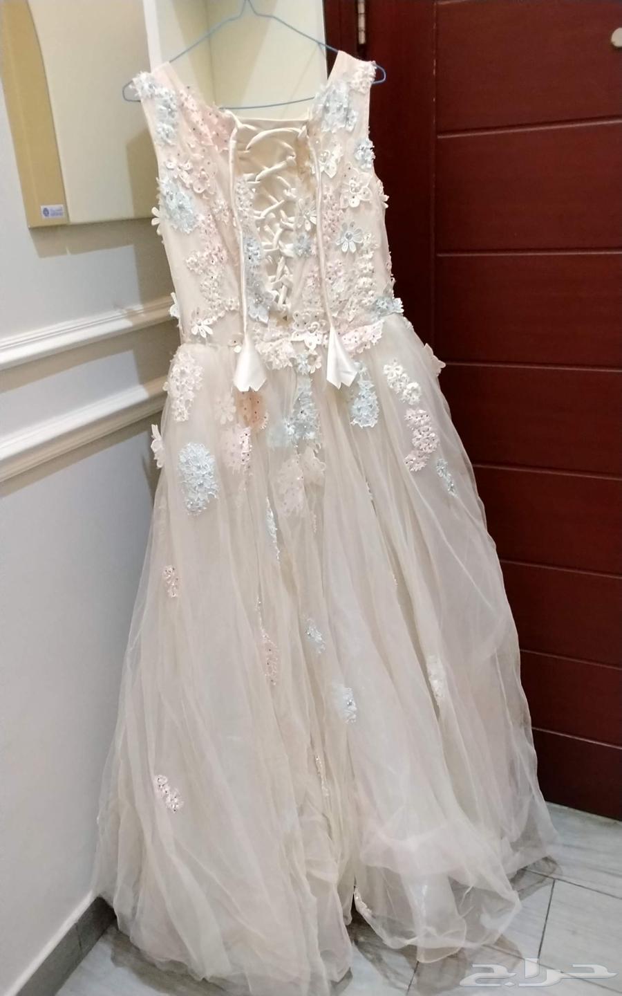 Luxurious fabric and texture64444553304195111