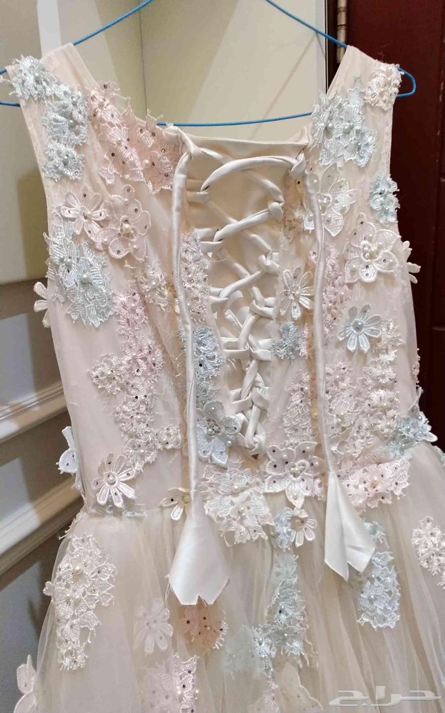 Luxurious fabric and texture64444553304195110