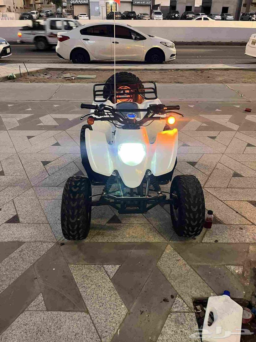 دباب سويدي مقاس 10064607855097985111