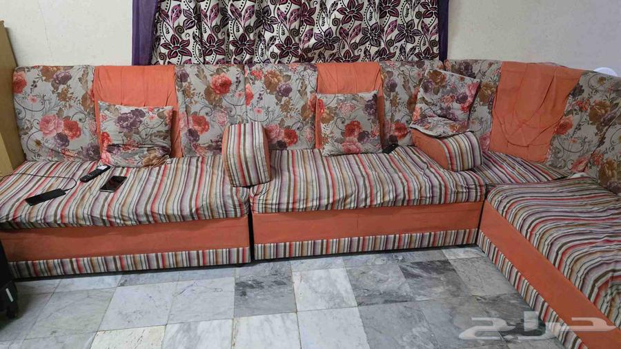 عفش للبيع متنوع عالسوم64444862836226110