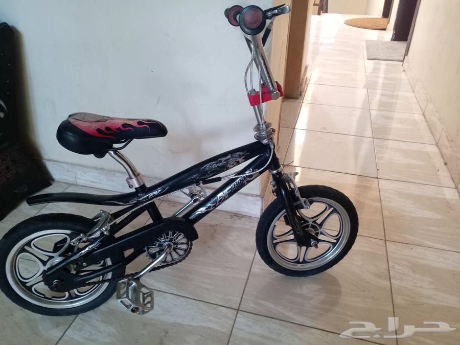 Cyclone Cobra64445255833474111