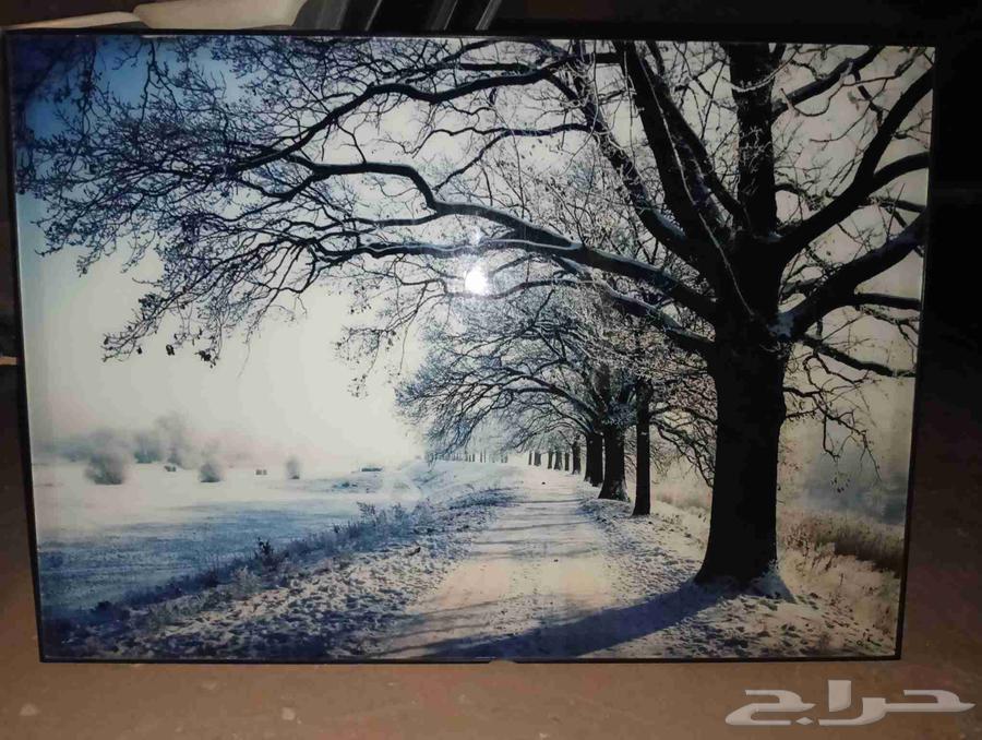 برواز ديكور صقر ومنظر طبيعي64443371478913111