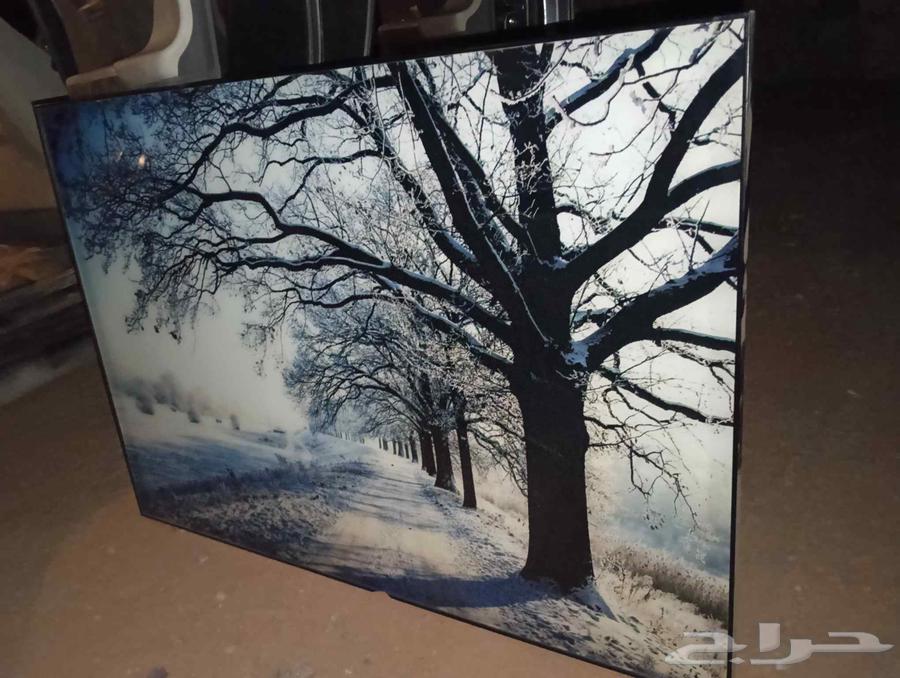 برواز ديكور صقر ومنظر طبيعي64443371478913112