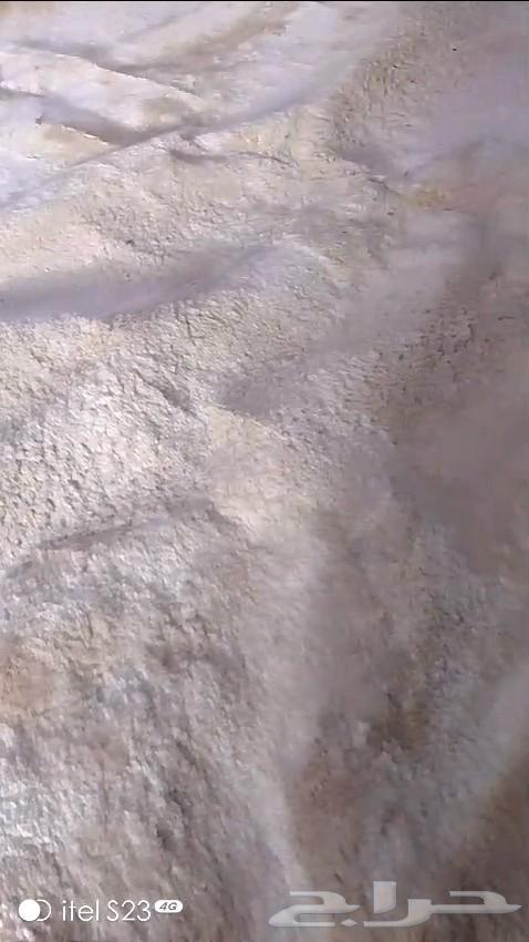 سجاد نضيف شبه الجديد للبيع مقاس 5 464444727654657111