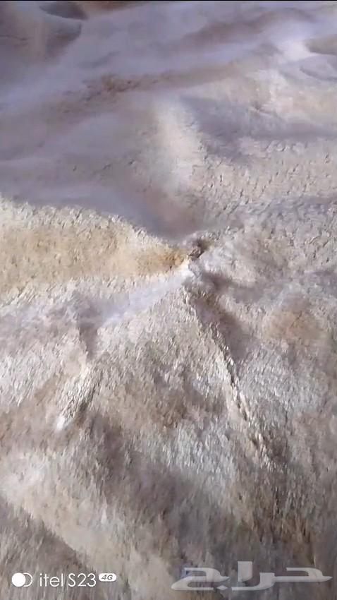 سجاد نضيف شبه الجديد للبيع مقاس 5 464444727654657110