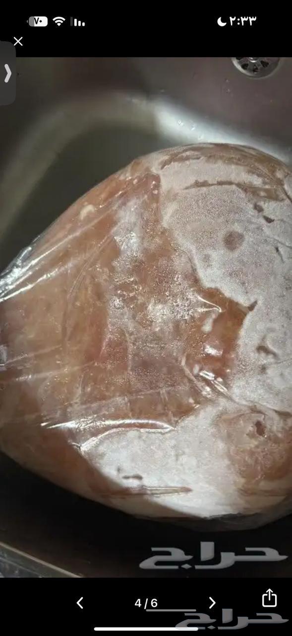 صدور دجاج فيليه64445418368257114