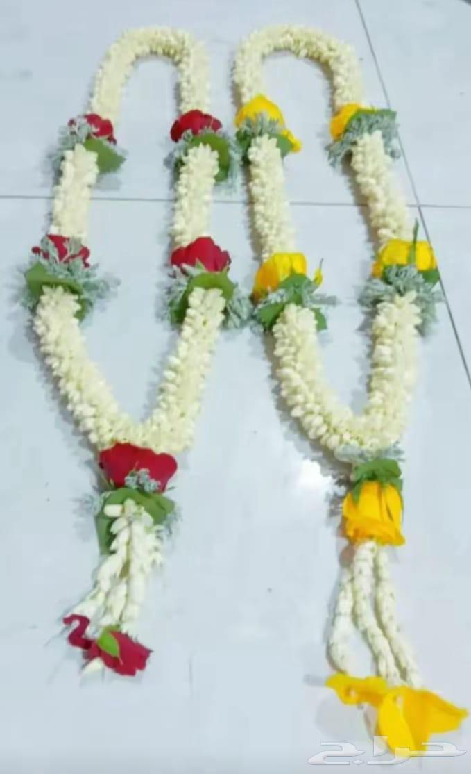 Fl_Contracts64443682064515110