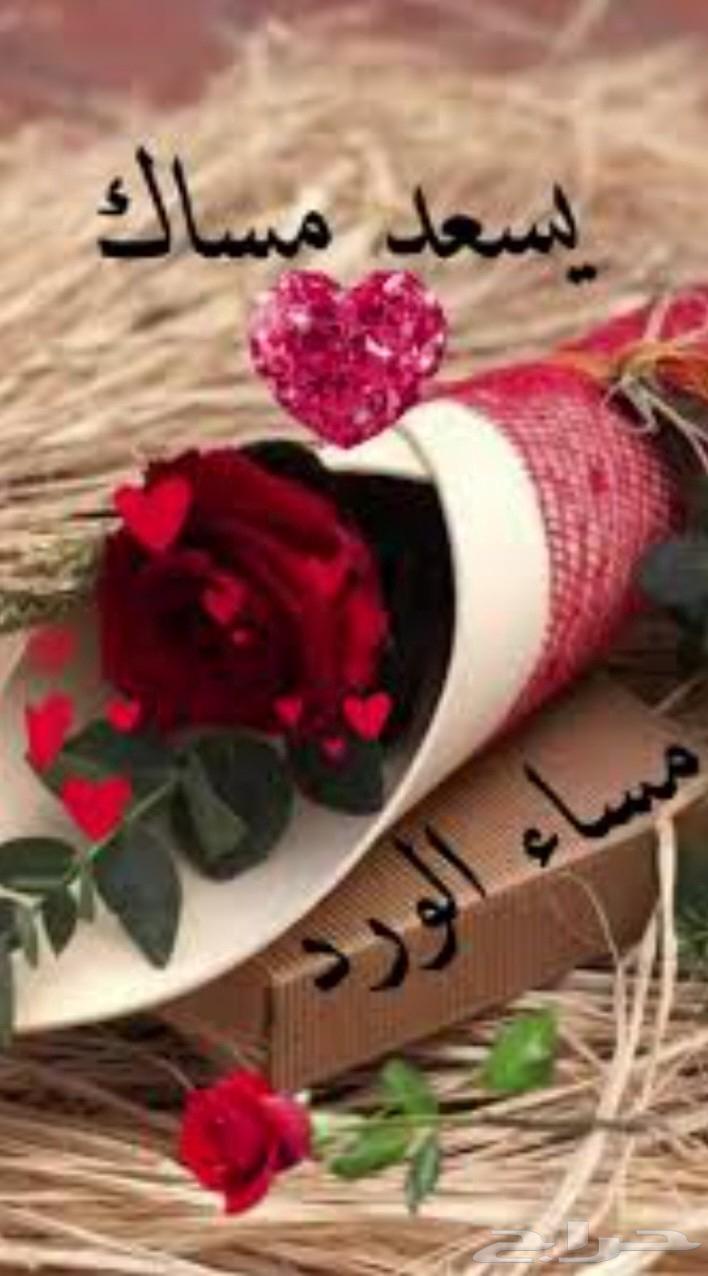 مطلوب سيارة اقساط مستعملة للمدارس64610493051778110