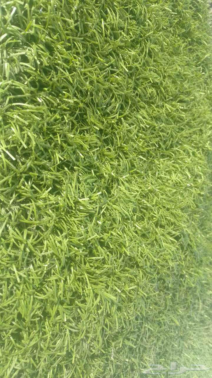 انجيلة صناعية مستعملة للبيع64446496733186112