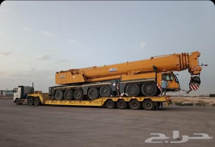 لوبد في القصيم الرياض64612661908865111