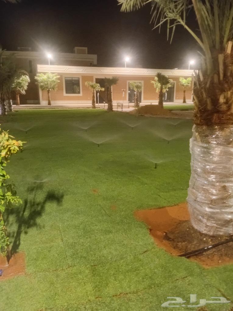 Thil C 2000 pure and natural first grade available with installation and supply within Riyadh and outside Riyadh64443762669315113