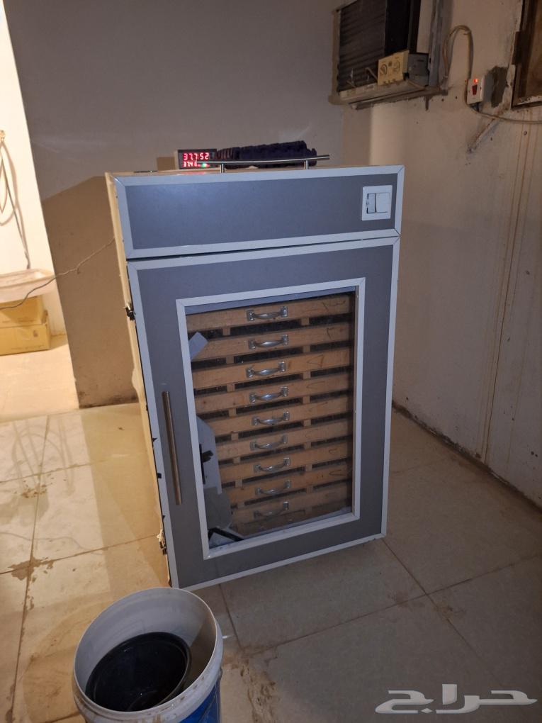 فقاسة بيض للبيع64442789229697112